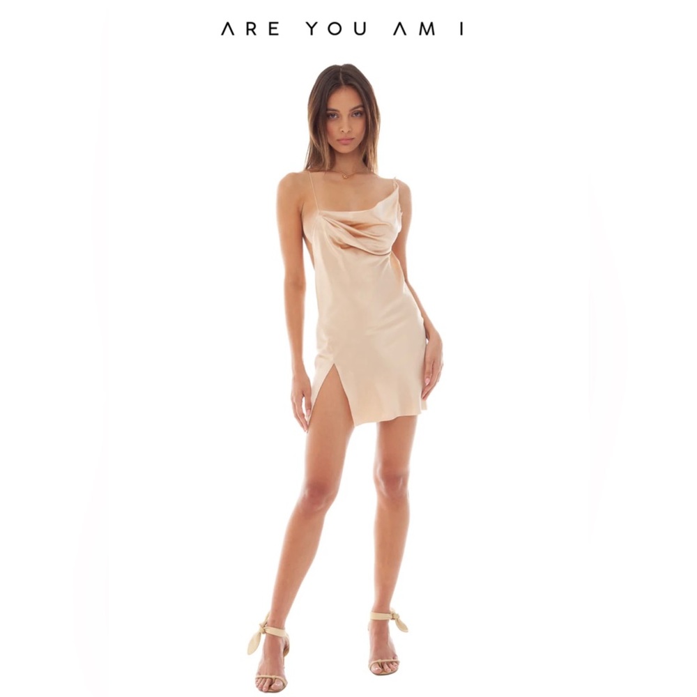 Are You Am I Ninfa Dress